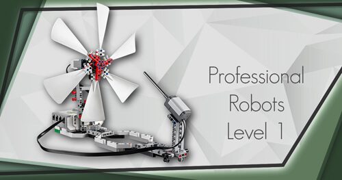 ProfessionalRobots1500 (1)