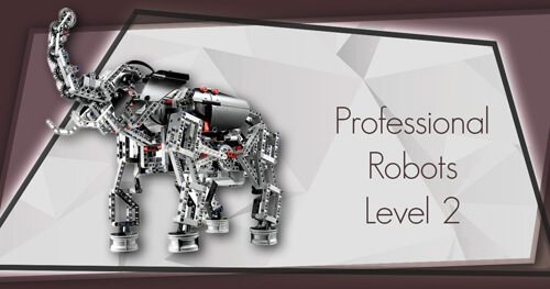 ProfessionalRobots2500 (1)